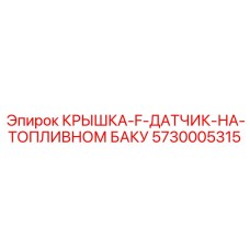 5730005315 КРЫШКА-F-ДАТЧИК-НА-ТОПЛИВНОМ БАКУ Epiroc