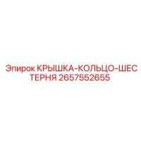 2657552655 КРЫШКА-КОЛЬЦО-ШЕСТЕРНЯ Epiroc