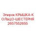 2657552655 КРЫШКА-КОЛЬЦО-ШЕСТЕРНЯ Epiroc