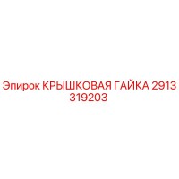 2913319203 Крышковая гайка Epiroc
