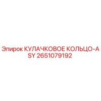 2651079192 КУЛАЧКОВОЕ КОЛЬЦО-ASY Epiroc