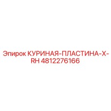 4812276166 КУРИНАЯ-ПЛАСТИНА-X-RH Epiroc