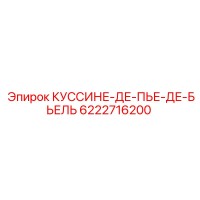 6222716200 КУССИНЕ-ДЕ-ПЬЕ-ДЕ-БЬЕЛЬ Epiroc