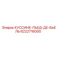 6222716000 КУССИНЕ-ПЬЕД-ДЕ-БЬЕЛЬ Epiroc