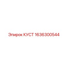 1636300544 КУСТ Эпирок