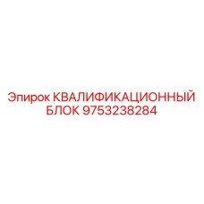 9753238284 КВАЛИФИКАЦИОННЫЙ БЛОК Epiroc