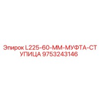 9753243146 L225-60-MM-МУФТА-СТУПИЦА Epiroc
