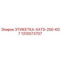 1310073707 ЭТИКЕТКА-XATS-250-KD7 Epiroc