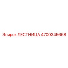 4700345668 ЛЕСТНИЦА Epiroc