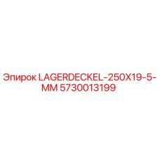 5730013199 LAGERDECKEL-250X19-5-MM Epiroc