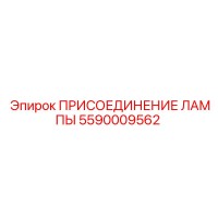 5590009562 ПРИСОЕДИНЕНИЕ ЛАМПЫ Epiroc