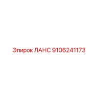 9106241173 ЛАНС Epiroc