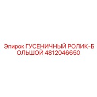 4812046650 ГУСЕНИЧНЫЙ РОЛИК-БОЛЬШОЙ Epiroc