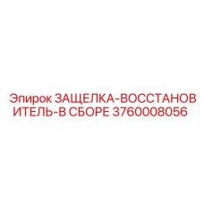 3760008056 ЗАЩЕЛКА-ВОССТАНОВИТЕЛЬ-В СБОРЕ Epiroc