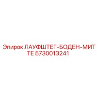 5730013241 ЛАУФШТЕГ-БОДЕН-МИТТЕ Epiroc