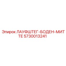 5730013241 ЛАУФШТЕГ-БОДЕН-МИТТЕ Epiroc
