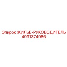4931374986 ЖИЛЬЕ-РУКОВОДИТЕЛЬ Epiroc