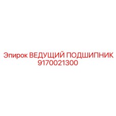 9170021300 ВЕДУЩИЙ ПОДШИПНИК Epiroc