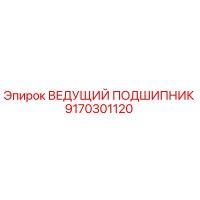 9170301120 ВЕДУЩИЙ ПОДШИПНИК Эпирок