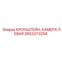 2653373254 КРОНШТЕЙН, КАМЕРА ЛЕВАЯ Epiroc
