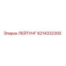 6214332300 ЛЕЙТУНГ Epiroc