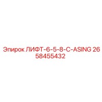 2658455432 ЛИФТ-6-5-8-C-ASING by Epiroc