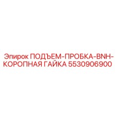 5530906900 ПОДЪЕМ-ПРОБКА-BNH-КОРОПНАЯ ГАЙКА Epiroc