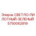 5750062819 СВЕТЛО-ПИЛОТНЫЙ-ЗЕЛЕНЫЙ Epiroc
