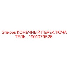 1901079526 КОНЕЧНЫЙ ПЕРЕКЛЮЧАТЕЛЬ Epiroc