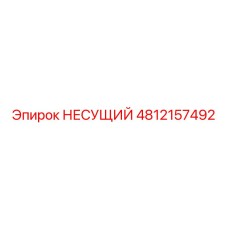 4812157492 НЕСУЩИЙ Epiroc