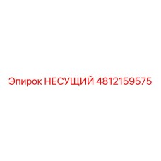 4812159575 НЕСУЩИЙ Epiroc