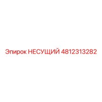 4812313282 НЕСУЩИЙ Epiroc