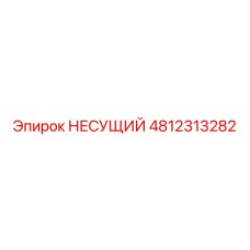 4812313282 НЕСУЩИЙ Epiroc