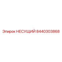 8440303868 НЕСУЩИЙ Epiroc