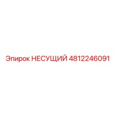 4812246091 НЕСУЩИЙ Epiroc