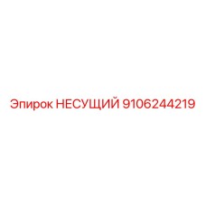 9106244219 НЕСУЩИЙ Epiroc