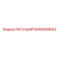 6060009053 НЕСУЩИЙ Epiroc