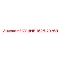 1625179269 НЕСУЩИЙ Epiroc