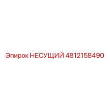 4812158490 НЕСУЩИЙ Epiroc