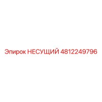 4812249796 НЕСУЩИЙ (Epiroc)