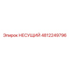 4812249796 НЕСУЩИЙ (Epiroc)
