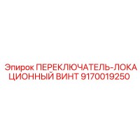 9170019250 ПЕРЕКЛЮЧАТЕЛЬ-ЛОКАЦИОННЫЙ ВИНТ Epiroc