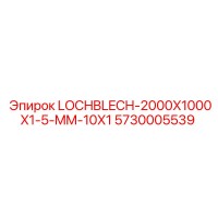5730005539 LOCHBLECH-2000X1000X1-5-MM-10X1 Epiroc