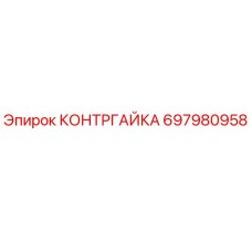 697980958 КОНТРГАЙКА Эпирок