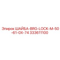 333611100 ШАЙБА-BRG-LOCK-M-50-61-0X-74 by Epiroc