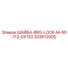 333612000 ШАЙБА-BRG-LOCK-M-95-113-0X133 Epiroc