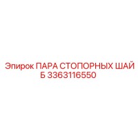 3363116550 ПАРА СТОПОРНЫХ ШАЙБ Epiroc