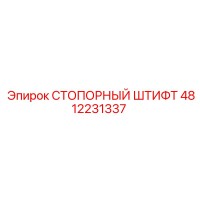 4812231337 СТОПОРНЫЙ ШТИФТ Epiroc