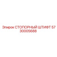 5730005688 СТОПОРНЫЙ ШТИФТ Epiroc