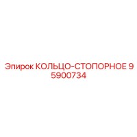 95900734 КОЛЬЦО-СТОПОРНОЕ (Epiroc)
